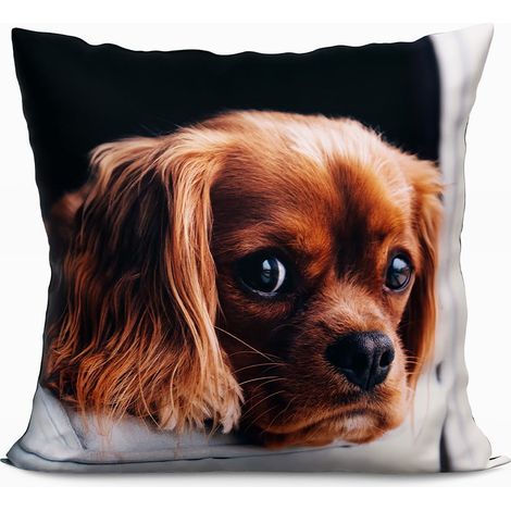 Coussin en microfibre multicolore pour chien avec motifs d'animaux 40x40 cm (1/2)