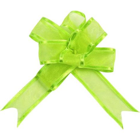 Noeuds Automatiques x5 en Organdi Vert Anis L20 mm D11 cm TOP - couleur: Vert anis