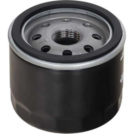 FT13666 Schnellölfilter (1/4)