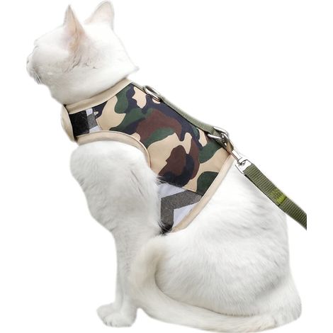Harnais de sécurité pour Chat/Furet, de Type Veste, Laisse pour Promenade (1/5)
