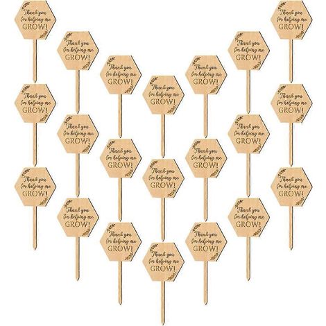 Étiquettes en bois pour plantes, pour l'identification des pots de fleurs, rectangulaires, kaki, 40 pièces (1/5)