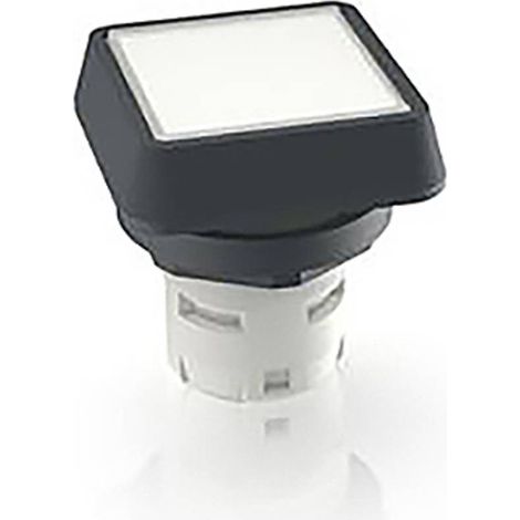RAFI 1.30.070.001/1002 1.30.070.001/1002 Pulsante illuminato (L x L x A) 24.95 x 24.95 x 26.35 mm 1 pz.