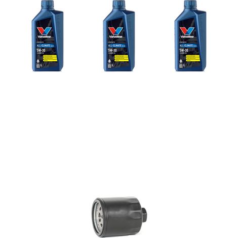 Kit filtro olio e 3L compatibile con Seat Toledo III (5P2) 1.4 63kw dal 2006 (1/5)