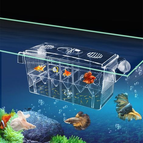 Acrylic Breeding Box, 0.5 mm Separator, Suction Cups, For Guppy Fry, Shrimp, Aquarium (1/5)
