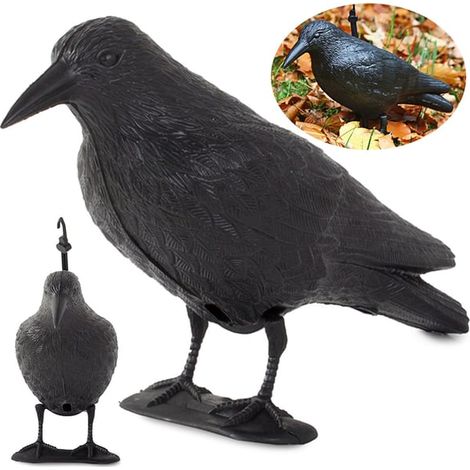 Répulsif anti-oiseaux, étourneaux, pigeons, rongeurs, grande taille (XXL) (1/3)