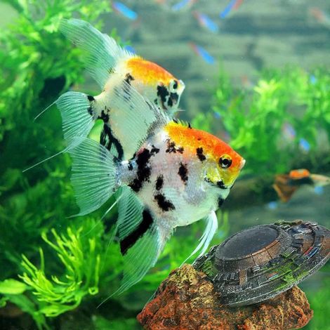 Décorations en résine pour aquarium : vaisseaux spatiaux, épaves d'OVNI, cachettes pour poissons. (1/4)