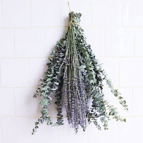 Eucalyptus séché naturel, tiges de feuilles d'eucalyptus véritable pour décoration de salle de bain et maison (1/3)