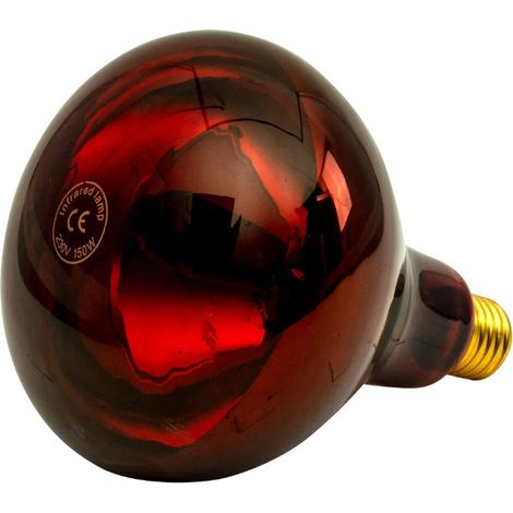 Ampoule infrarouge IR 150W rouge (1/5)