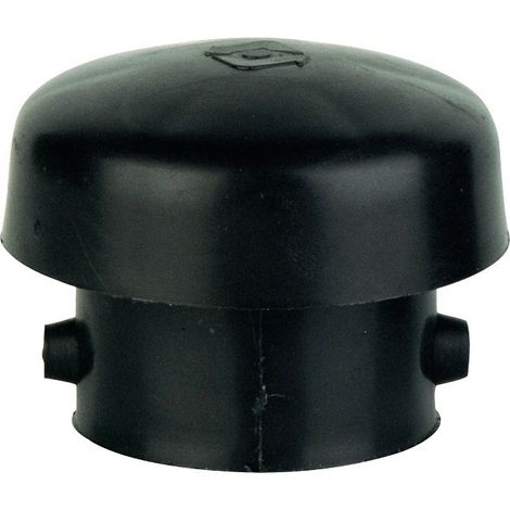 Watts – Chapeau d'évent fioul pour tube 1' et 1'1/4' – Résine renforcée – Ventilation efficace – Tamis métallique anti-débris - 22L0160125 (1/2)