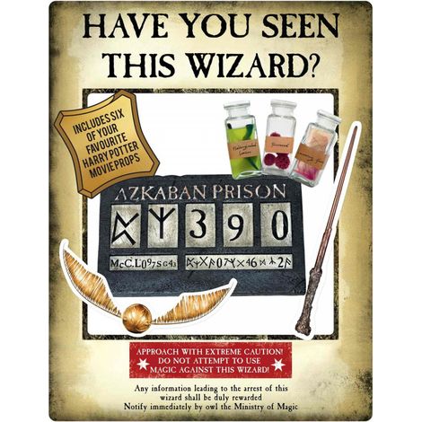 Figurine en carton Cadre à selfie Harry Potter d'Azkaban Hauteur 87 Largeur 70 CM (1/5)