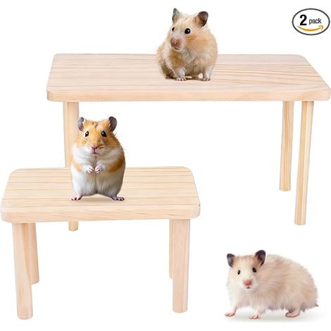 Hamster Platform - Climbing Platform for Hamster As decoration for your pet's cage, suitable for most cages, suitable for hamsters, hedgehogs (1/5)