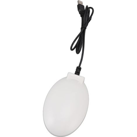 Dégivrage pour bain d'oiseaux avec thermostat intégré, chauffe-eau d'hiver pour jardin ou cour extérieure, blanc