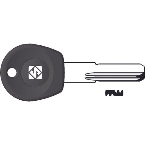 Chiavi punzonate per cilindri moia 4+7+3 spine mo2rp - mo2rp