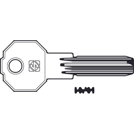 Chiavi punzonate per cilindri prefer 6 spine pf21 - pf21