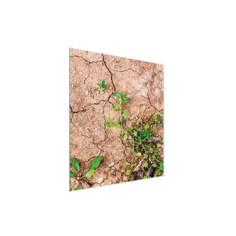 TABLA DE CORTAR DE VIDRIO 45x52 PLANTAS (1/5)