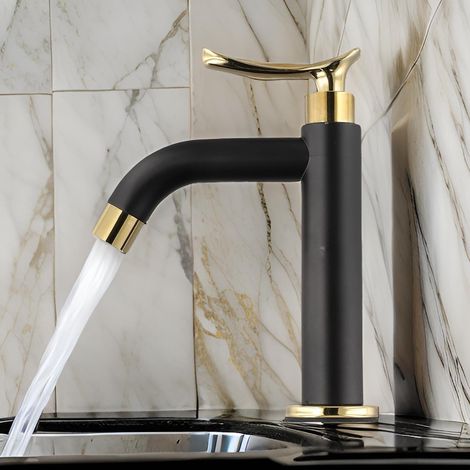 Robinet pour vasque, inox, noir, eau froide, pour sanitaires (1/5)