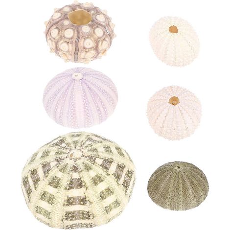 6-teiliges Set Seeigel-Dekorationen für Aquarien, Schreibtische und mehr – verschiedene Stile-6.00X6.00X4.00CM-Assorted Color (1/4)