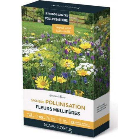 Prairies fleuries : Jachère je prend soin des pollinisateurs