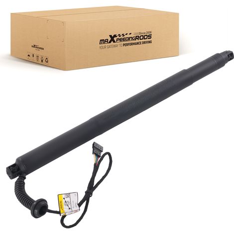 Ammortizzatore Elettrico Cofano Sinistro for BMW X6 F16 2015-2016 615014 (1/5)