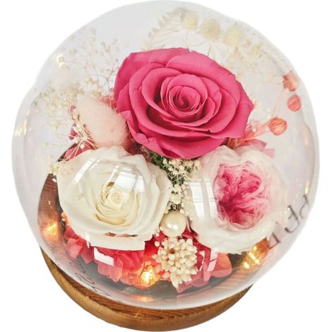 Flores preservadas bajo una cúpula de cristal: regalos para tu novia/esposa en el Día de Qixi, San Valentín, Navidad, graduación o cumpleaños.
