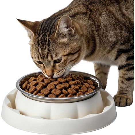 Ciotole per gatti  Ciotola antiscivolo in acciaio inox (1/5)