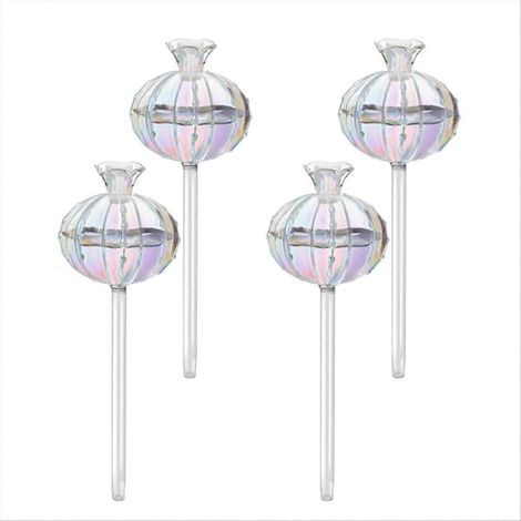 Plante arrosage Bulbs plante arrosage Globes verre Cactus (1/5)