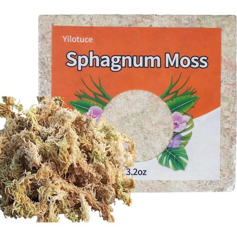 90g Sphaigne pour Plante, Très Bon Substrat pour Orchidées, Bon Terreau Plante Intérieur (1/5)