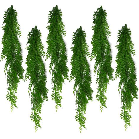 6 x 100cm Hanging String of Pearls Fern Plant Light Green - Premium Quality (1/5)