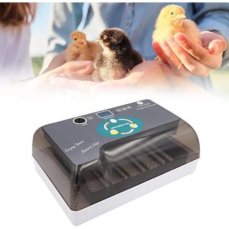Digital Incubator Hatching Machine Transparent Lid (1/5)