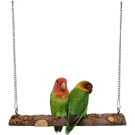Balançoire en Bois pour Oiseau, Balançoire Perroquet, Jouets pour Oiseaux en Bois Pomme Naturel, Balançoires à Oiseaux pour perroquets, perruches (1/5)