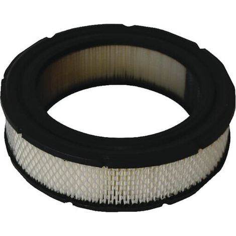 Filtro aire BRIGGS et STRATTON 692519 - 806232
