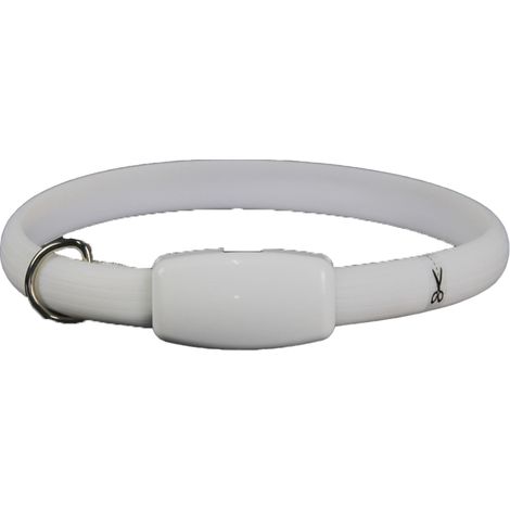 Collier Chien Lumineux - LED Rechargeable USB - Visibilité Nocturne - Taille Réglable - 1 Pièce (1/5)