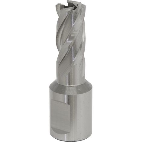 Sealey Worksafe&reg 12mm HSS Mag Drill Bit Cut Depth 25mm RBHSS12S