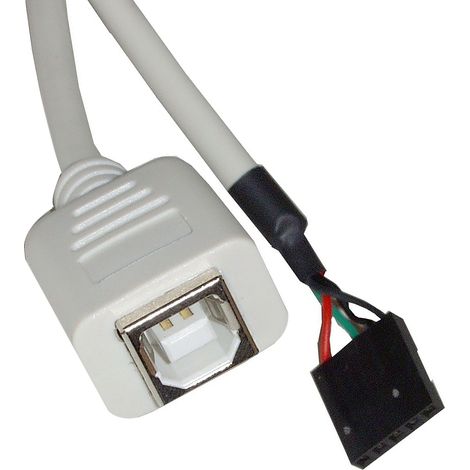 BeMatik - Câble USB 2.0 5-30cm broches BH (5P-H/BH) (1/2)