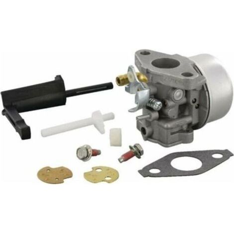 Carburateur pour 798653 (1/4)