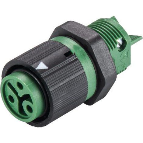 Wieland Electric 46.031.5055.7 Rundstecker Buchse, Einbau Gesamtpolzahl: 2 + PE Serie (Rundsteckverb