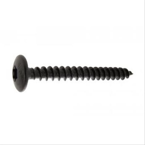 Vis de penture empreinte torx