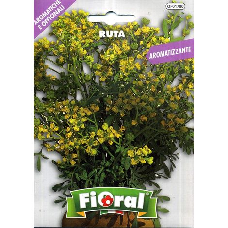 Semences de plantes aromatiques et officinales en sachet pour jardinier amateur (1/5)
