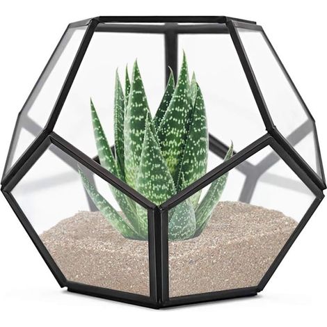 Terrarium géométrique de table, 19,8 x 19,8 x 16,5 cm, en métal et verre, pour plantes succulentes, pot de fleurs aérien, décoration de bijoux ou de mariage, boîte à fleurs, bougeoir (noir)