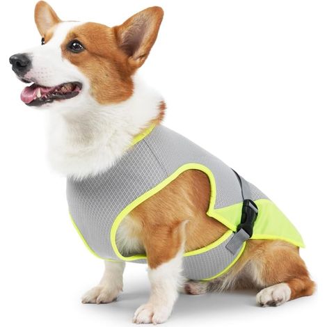 Gilet Rafraîchissant Chien, Respirant, Maille, Extérieur, Été, Rafraîchissant, Promenade, Sports, Randonnée (1/5)