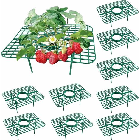 CCYKXA Set of 10 Removable Strawberry Growing Supports, Strawberry Growing Support, Protection Against Rot and Mold for Greenhouses and Potted Plants, Growing Frame (1/5)
