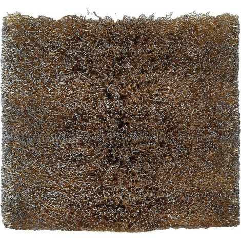Einhell Spazzola di ricambio per rusticatrice