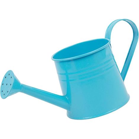 Pot de Fleurs pour Serre – Arrosoir en métal de 1 l avec Long Bec pour Un arrosage précis des Pot de Fleurs en Fer Durable et Seau d'arrangement Floral pour Serre et Jardinage (1/5)