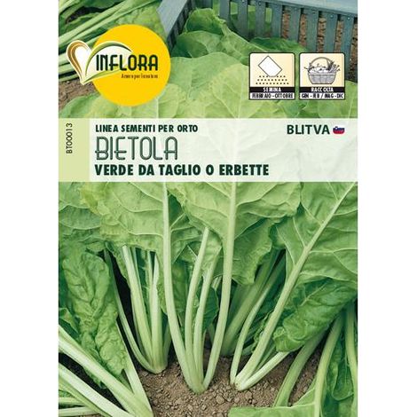SEMI ORTO "BIETOLA VERDE DA TAGLIO O ERBETTA" - CF. BUSTA 8 GR.