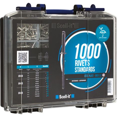 Coffret de 1000 rivets standard tête plate - SCELL-IT - COFRIVINOX (1/4)