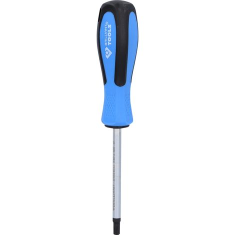 Brilliant Tools Schraubendreher TORX, T40 x 100 mm (1/5)