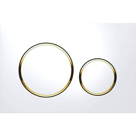 Plaque d'actionnement pour double chasse d'eau Geberit Sigma20 : blanc, or (115.882.KK.1) (1/4)