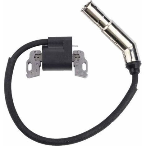 Bobine d'allumage Magneto Armature Remplacement pour Moteur Briggs & Stratton 592841 799650 595304 795315 21A807 21A877 21A902 21A907 21A907 21A907 (1/3)