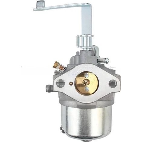Carburateur de Rechange pour Moteur Générique 6HP 181cc - Compatible avec les Modèles GT600, GM182, MBG2902, MBG3500 (1/4)