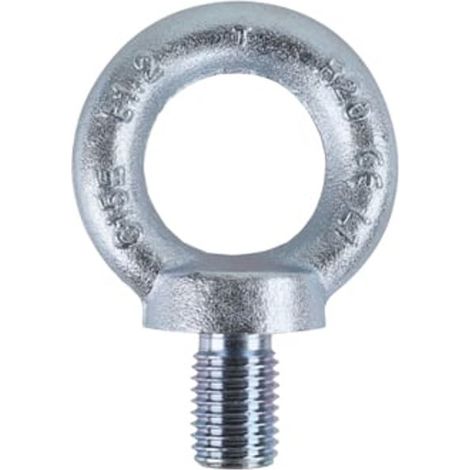 GOLFARI MASCHI ROBUR ZN A.8040EZS MM.12
